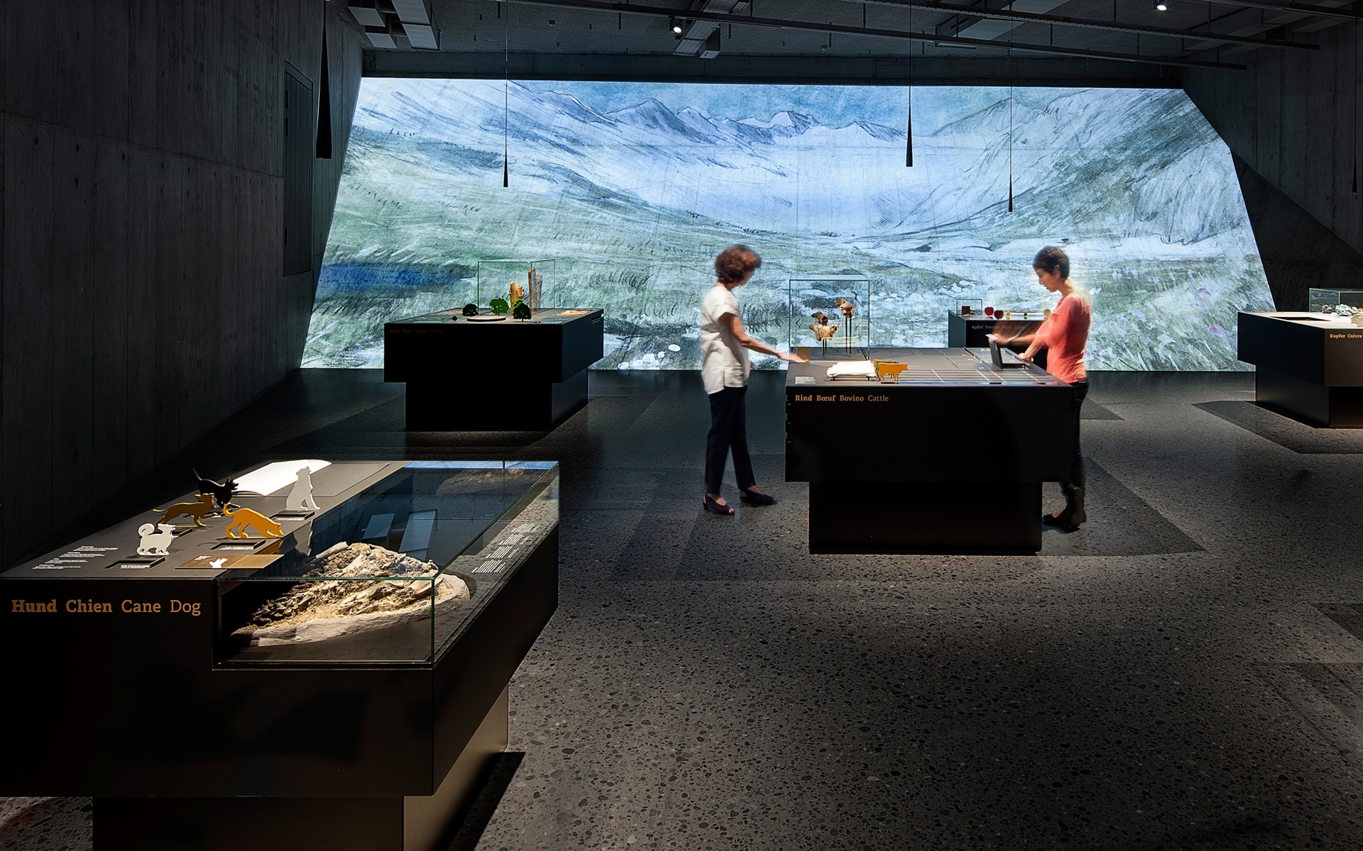 Archäologie Schweiz –  Schweizerisches Nationalmuseum