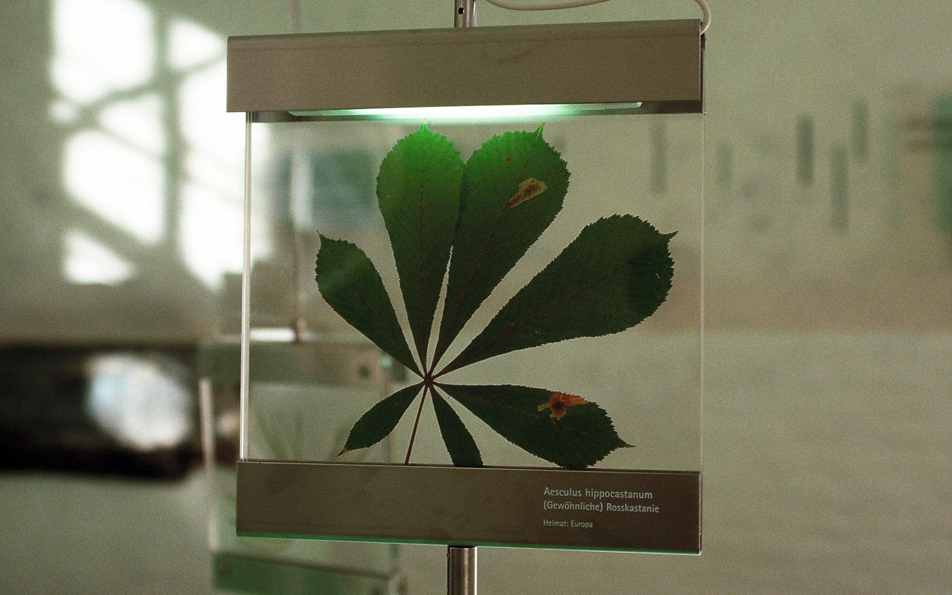 Museum of Garden Art