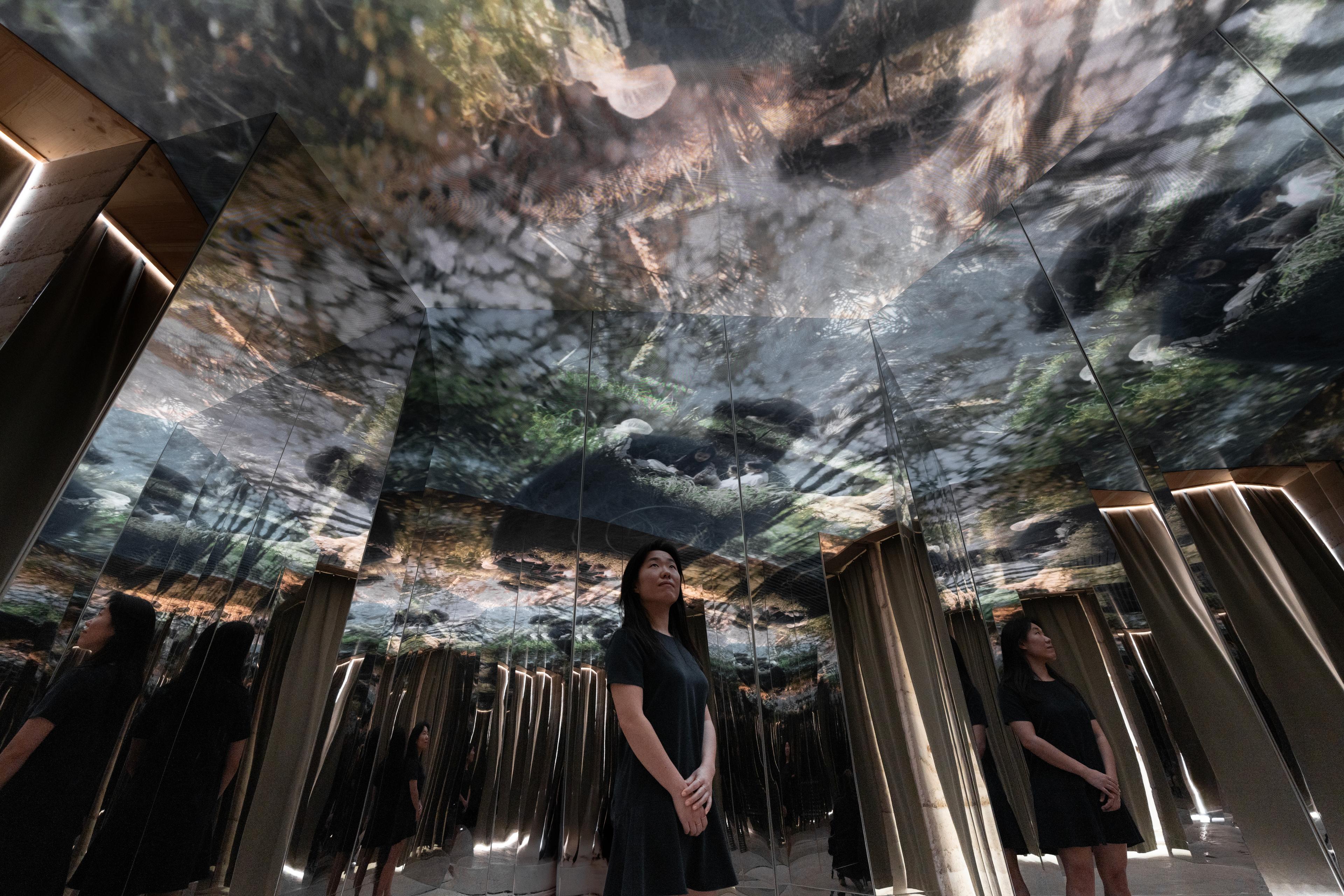 UAE Pavilion - Nurturing Legacy