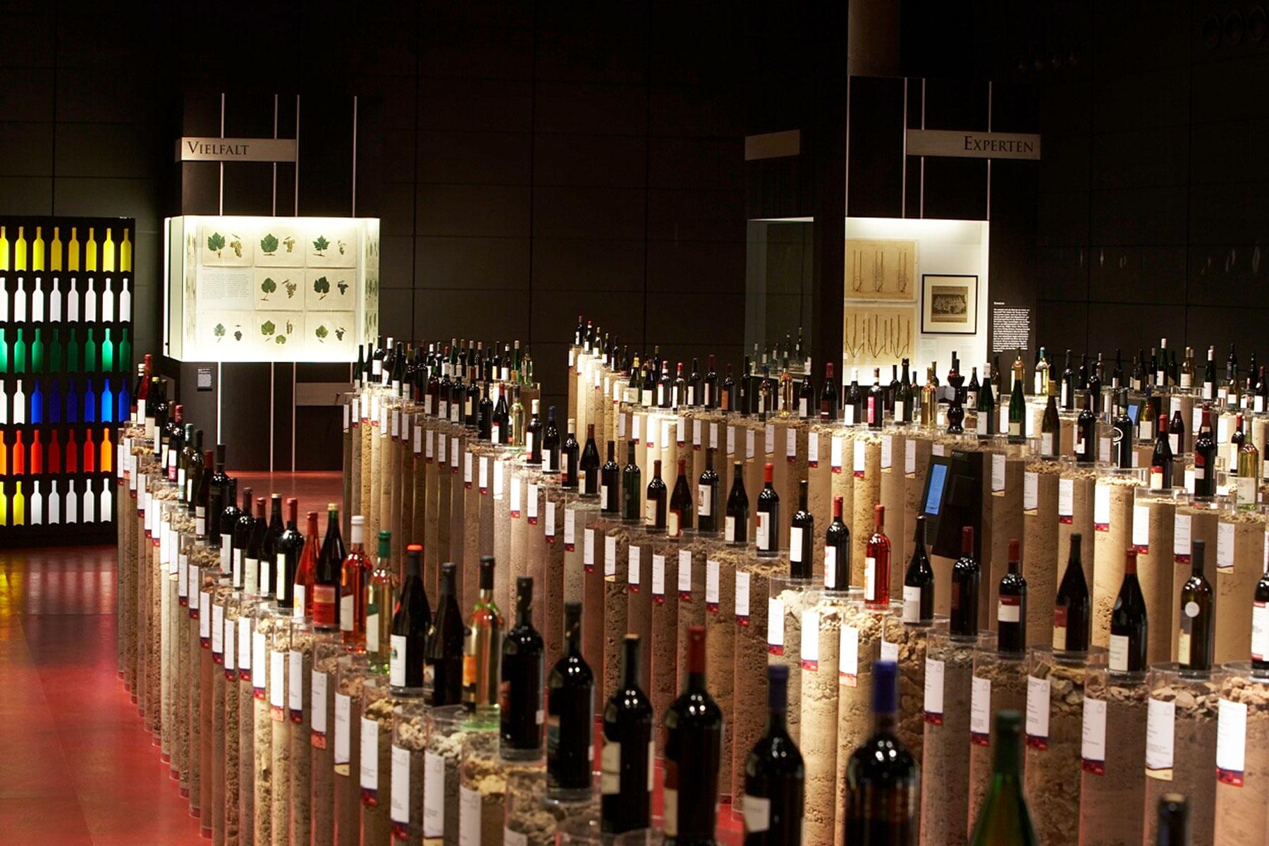 Landscape of Wine