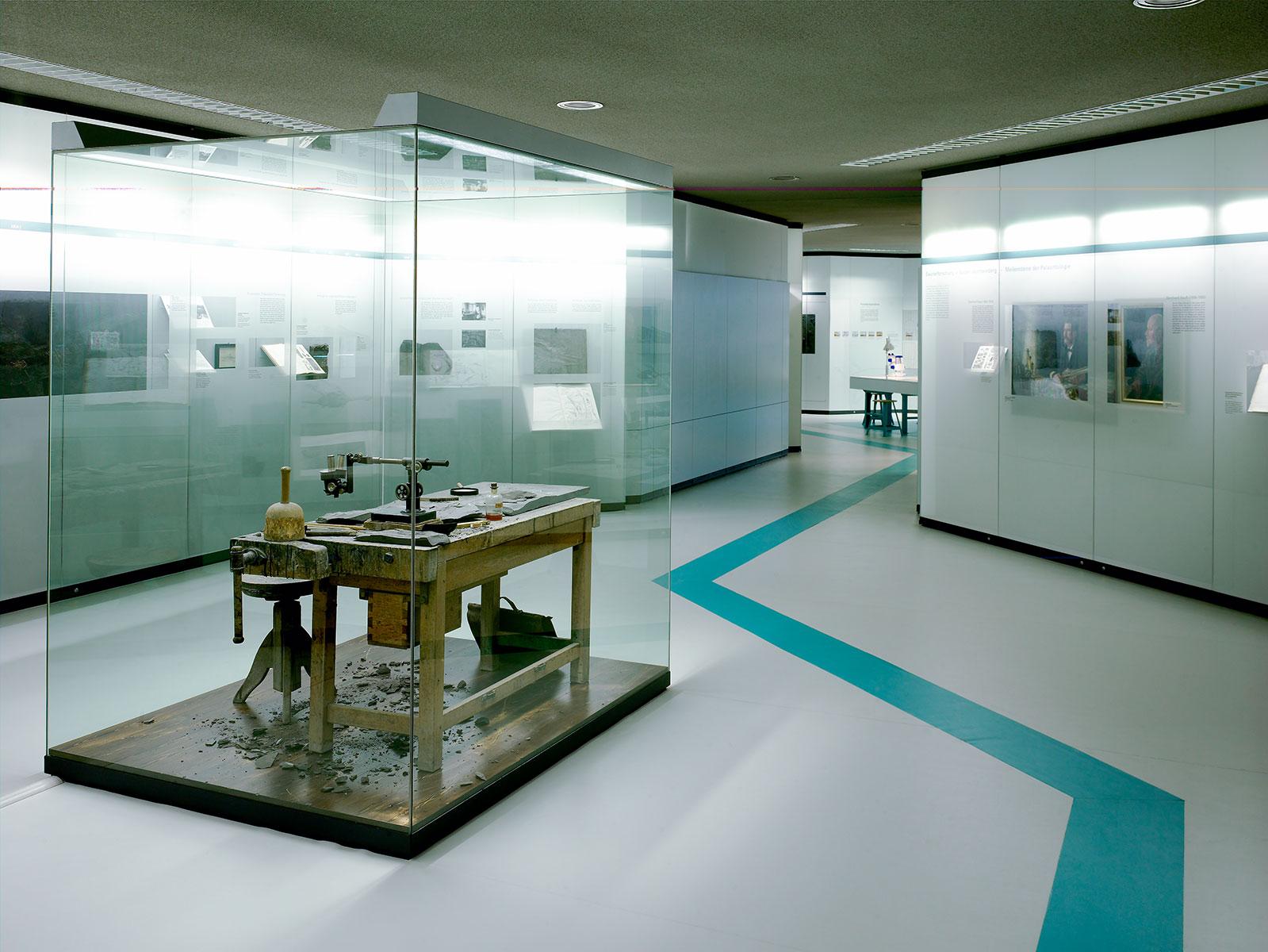 Wissenschaftliche Folie – Hauff Holzmaden