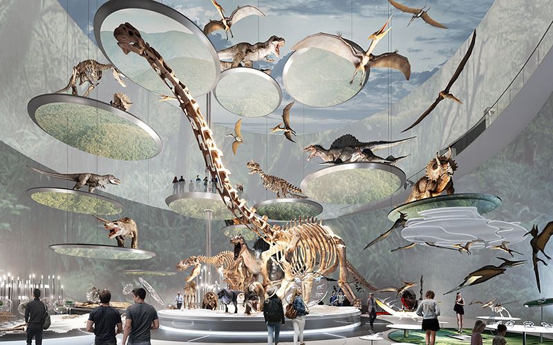 30 January 2024
Shenzhen Natural History Museum