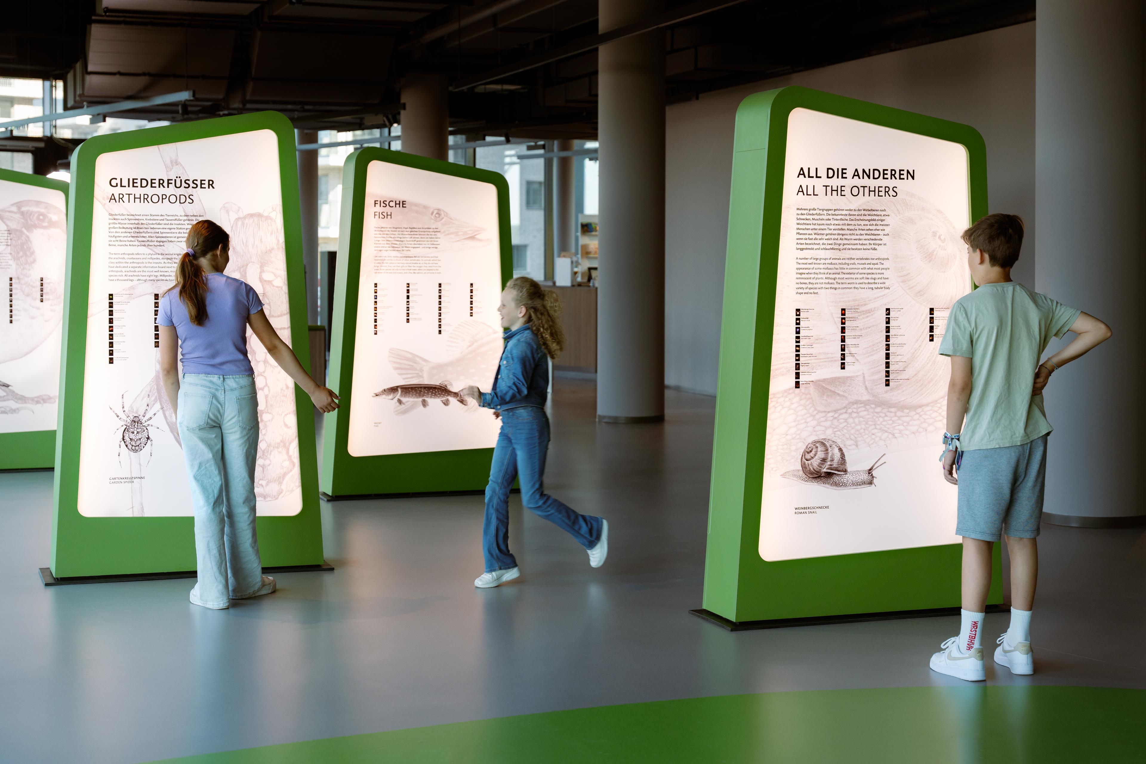 Botschaft der Wildtiere - Stelen