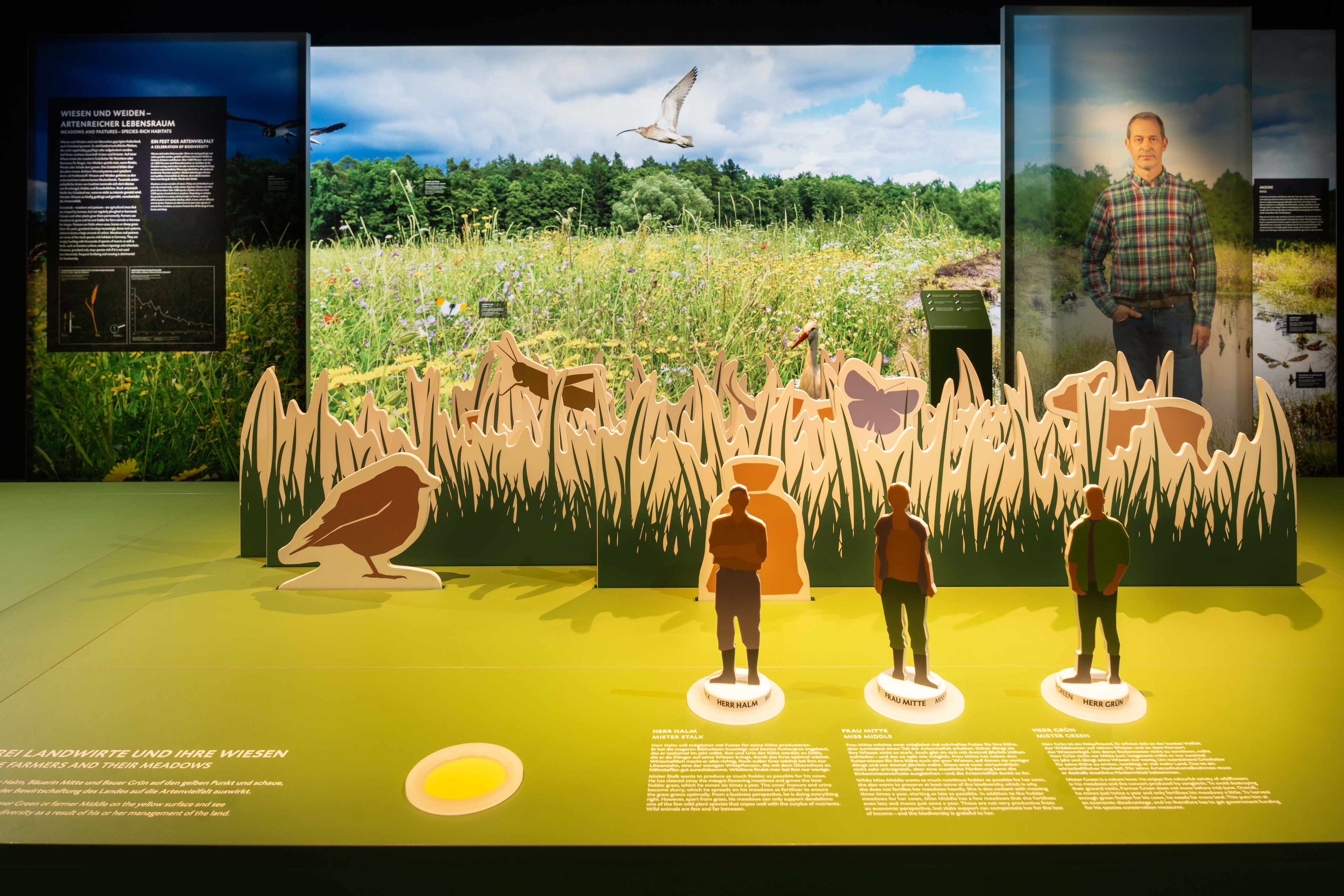 AUSSTELLUNG BOTSCHAFT DER WILDTIERE