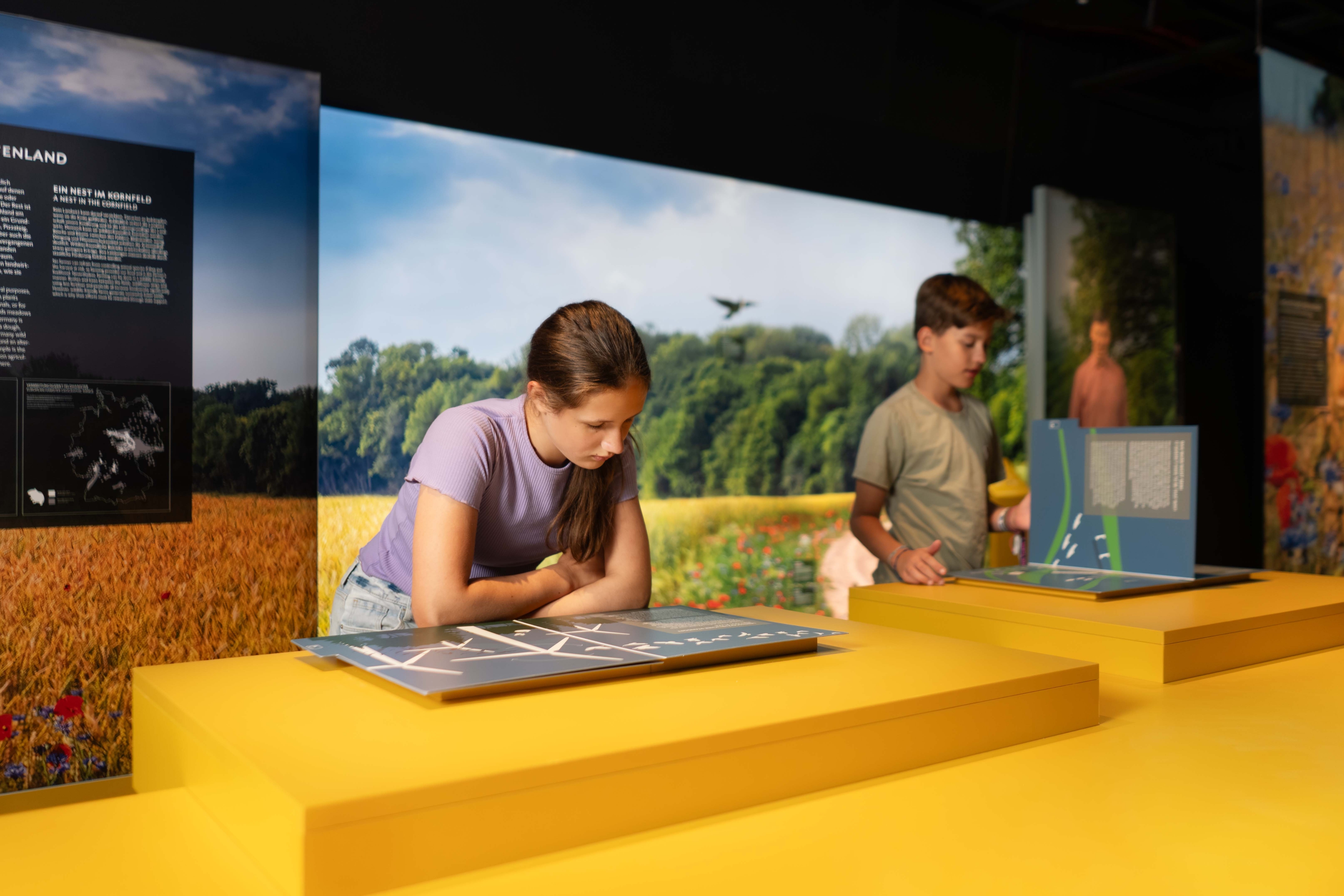 AUSSTELLUNG BOTSCHAFT DER WILDTIERE