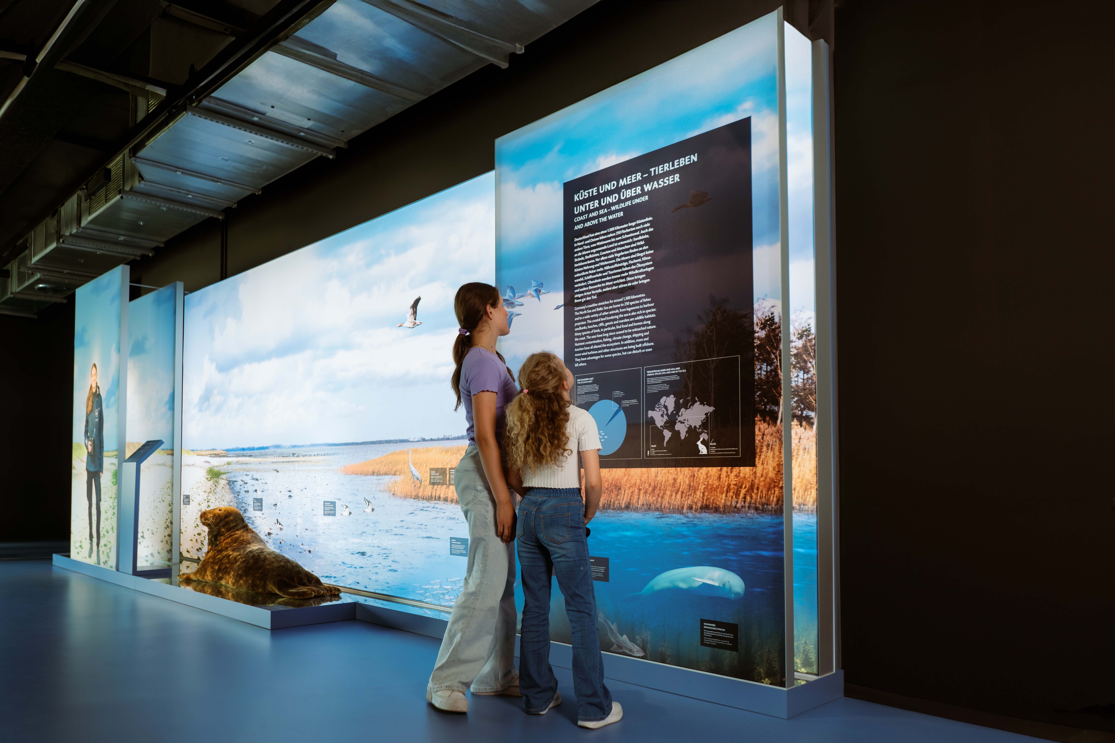 AUSSTELLUNG BOTSCHAFT DER WILDTIERE