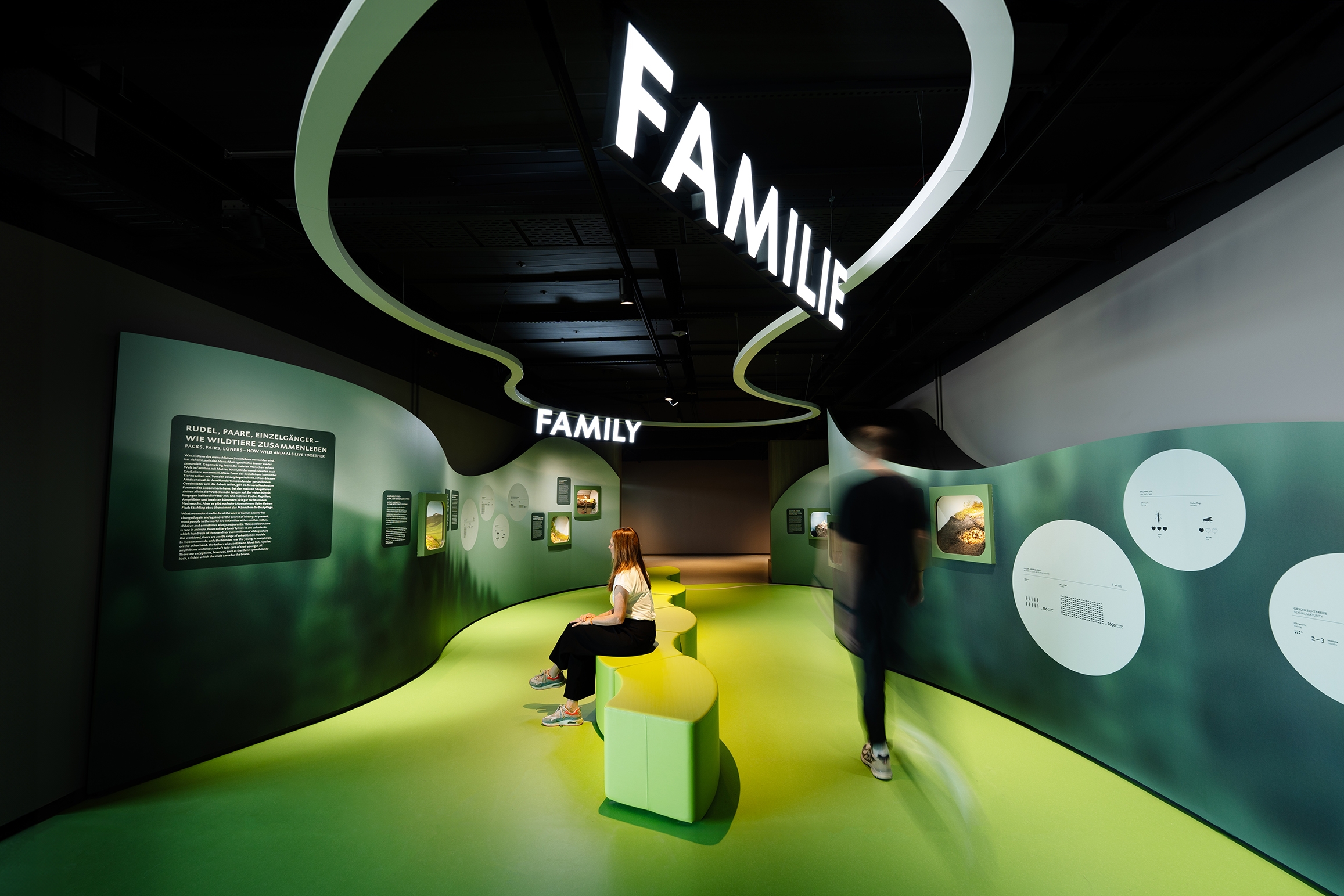 AUSSTELLUNG BOTSCHAFT DER WILDTIERE