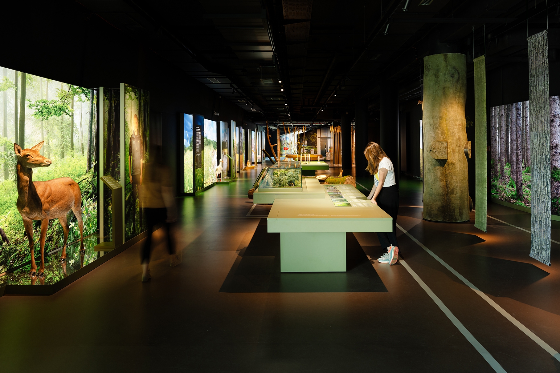 AUSSTELLUNG BOTSCHAFT DER WILDTIERE