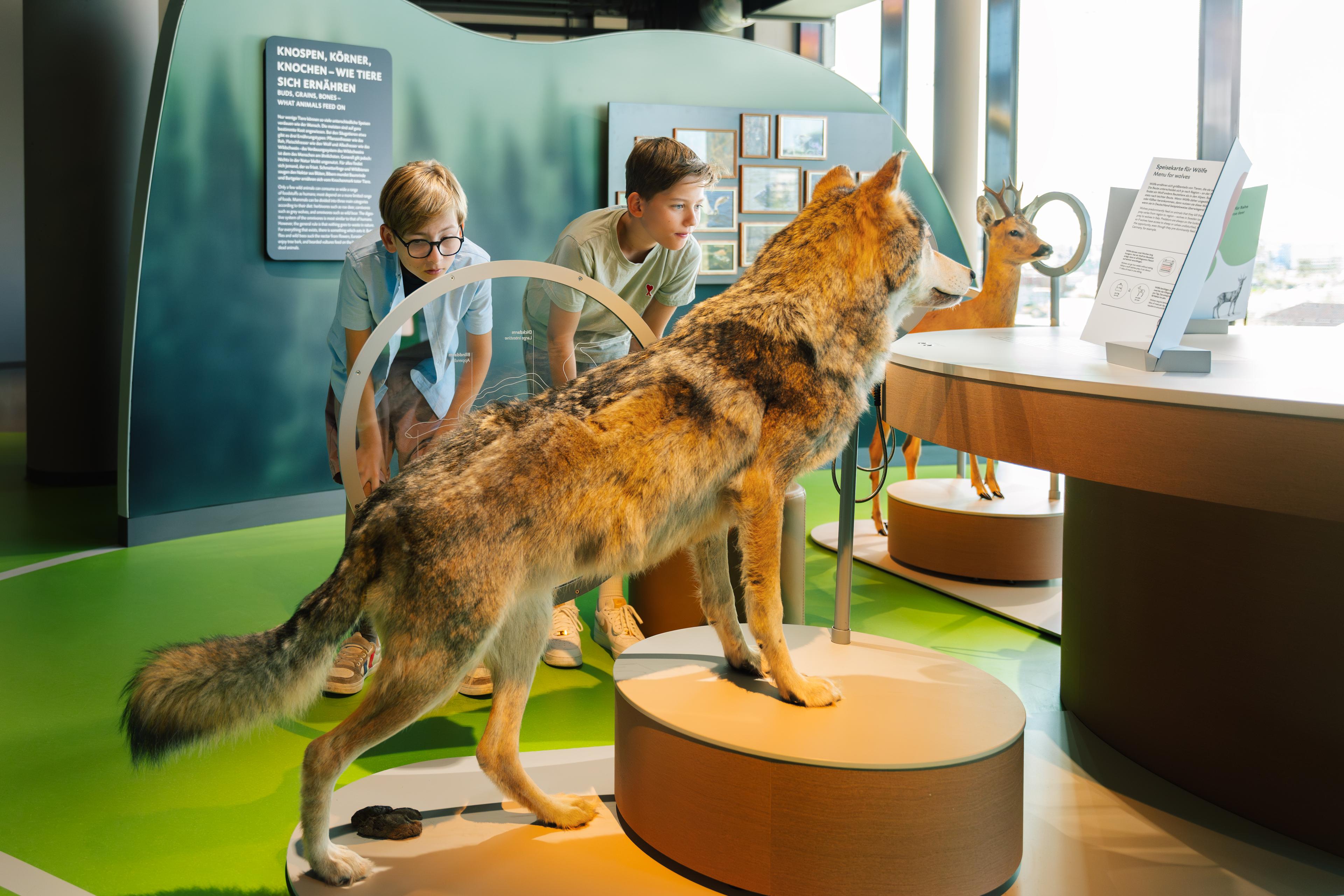 Botschaft der Wildtiere - Essen