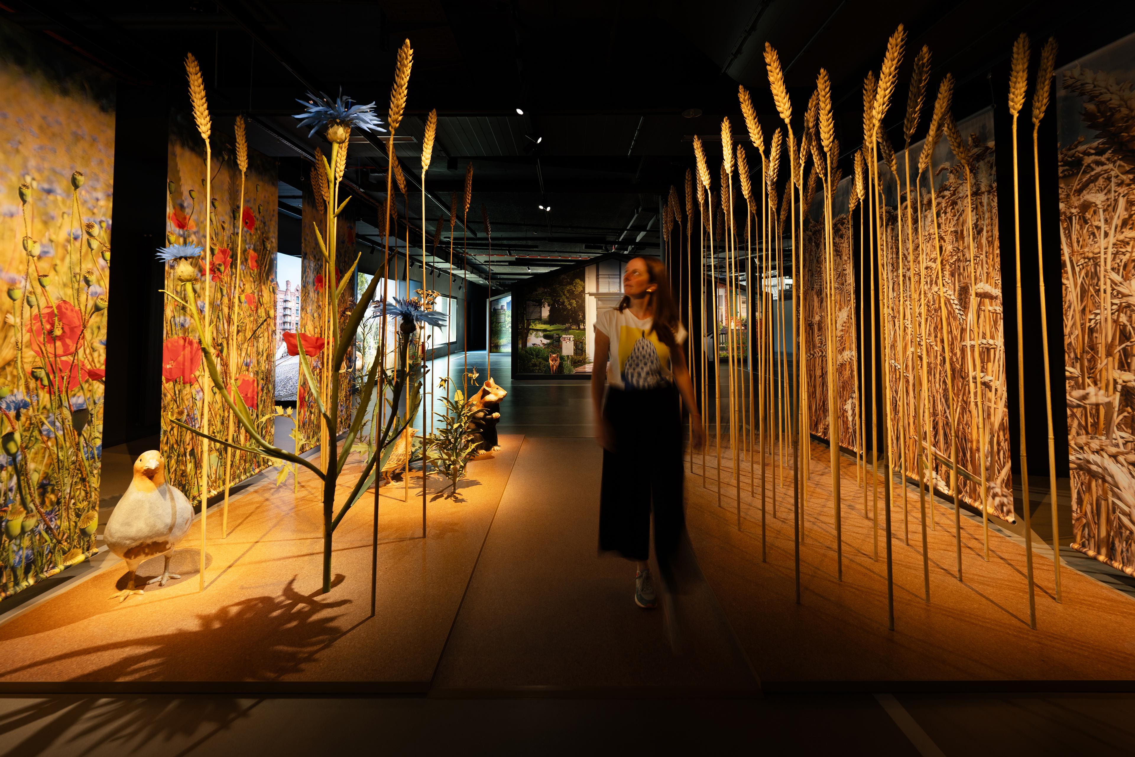 Wildlife Embassy - Habitat Field