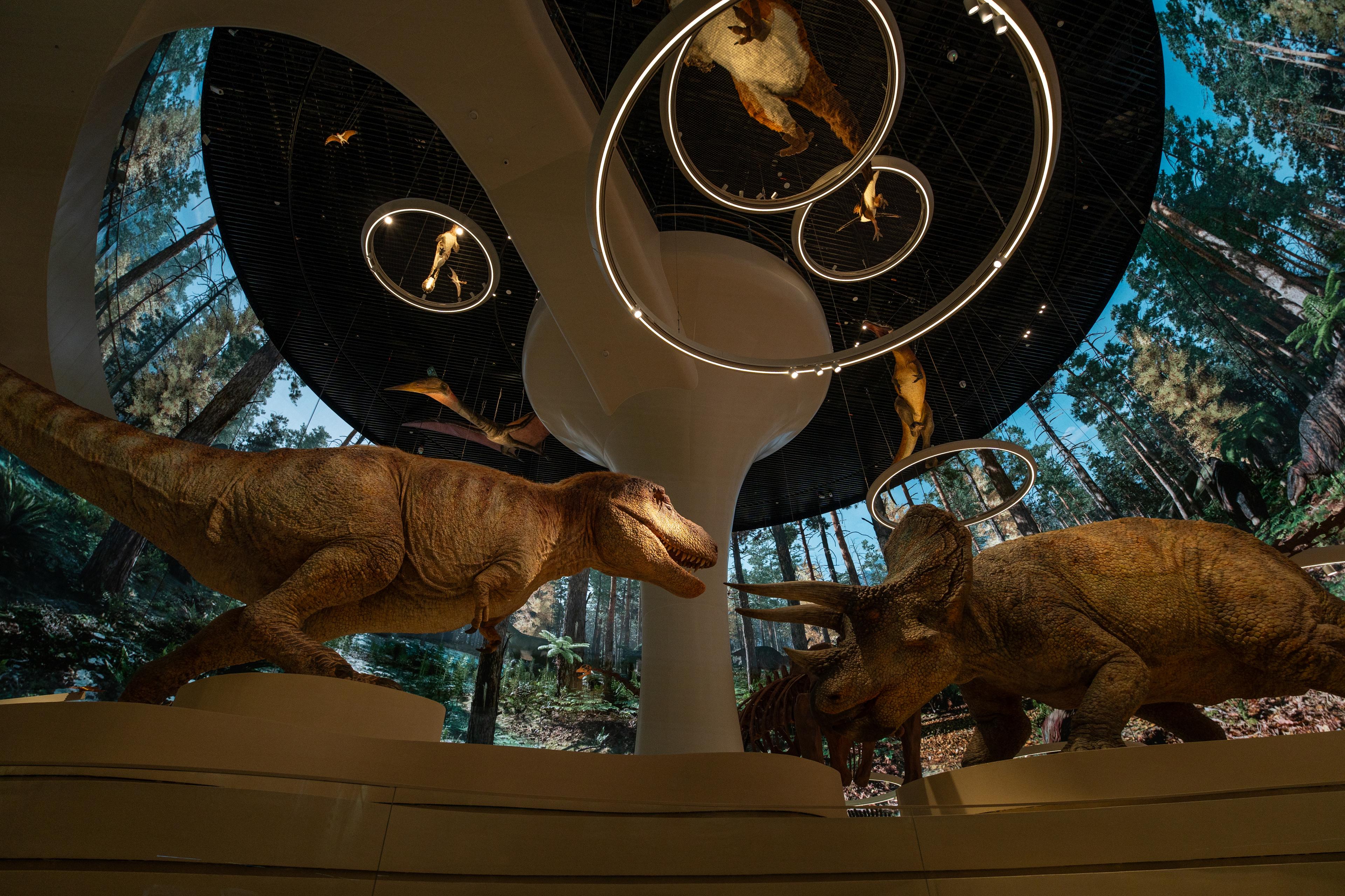 Wide view of the Dinosaur Hall at the Shenzhen Natural History Museum. Life-sized models of a Tyrannosaurus rex and a Triceratops stand on curved platforms in the foreground. Suspended above them, prehistoric animals and fossils are displayed within illuminated circular rings. A sculptural, tree-like central column supports the ceiling, while floor-to-ceiling panoramic media walls depict a prehistoric forest, creating the impression that the exhibition extends into a continuous natural landscape.