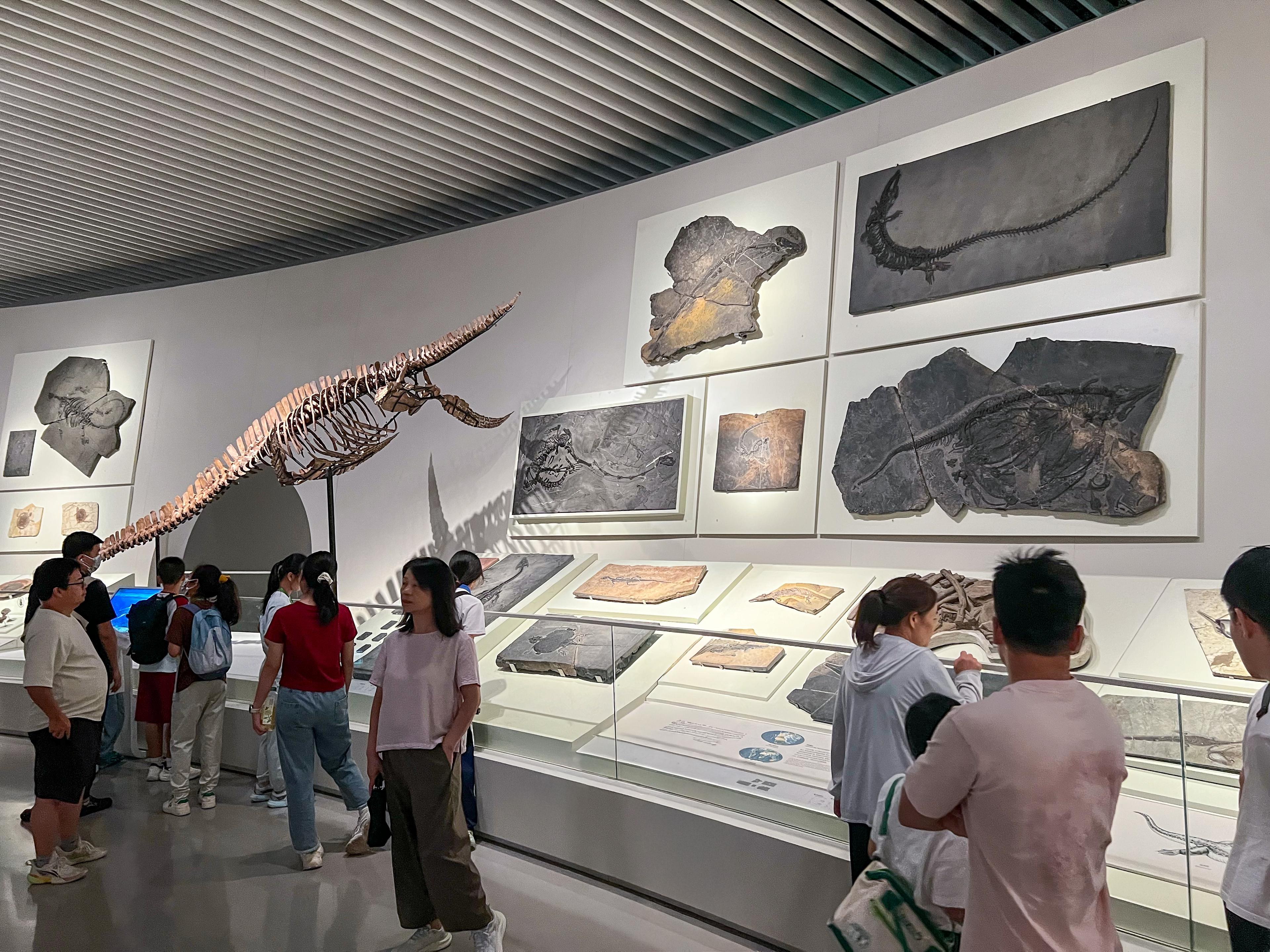 NHM Shenzhen Evolution Hall