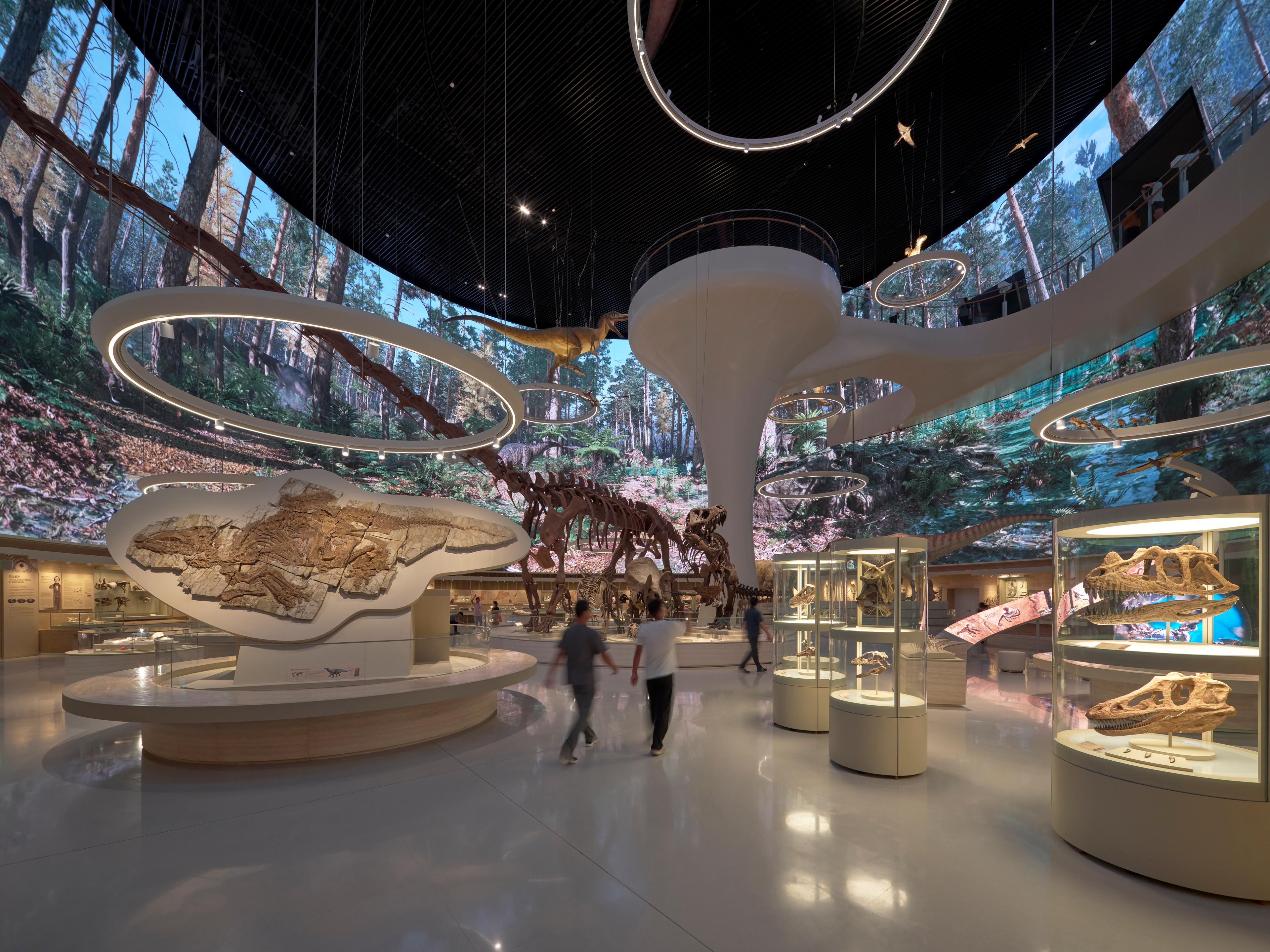 NHM Shenzhen Dinsour Hall