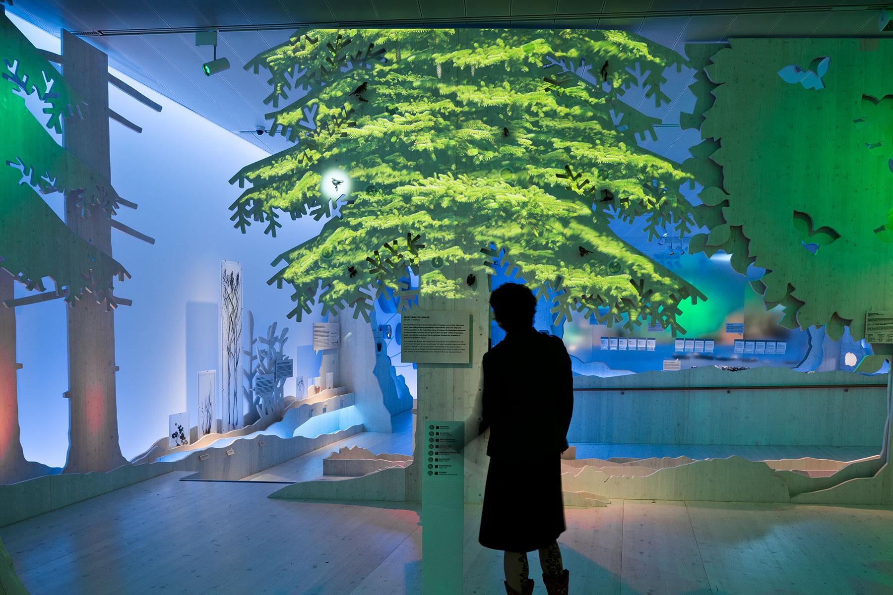 Lebensraum Wald – Medienstation