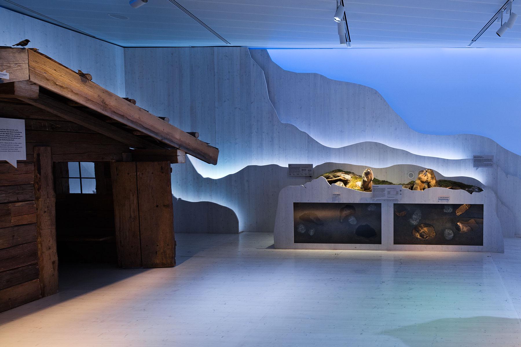 Lebensraum Alm – Almhütte – Biber