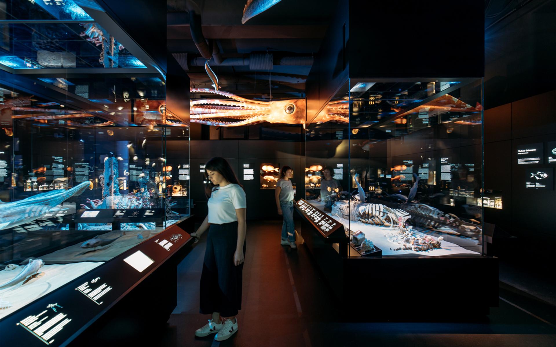 Senckenberg Naturmuseum. Ausstellungsraum „Tiefsee“