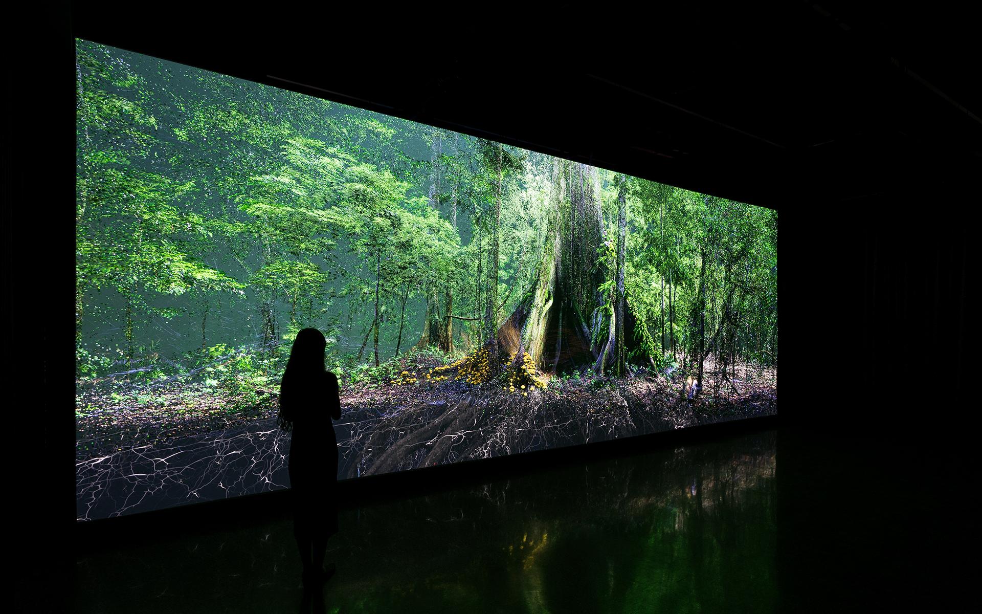Journey of the Pioneers – Der Wald