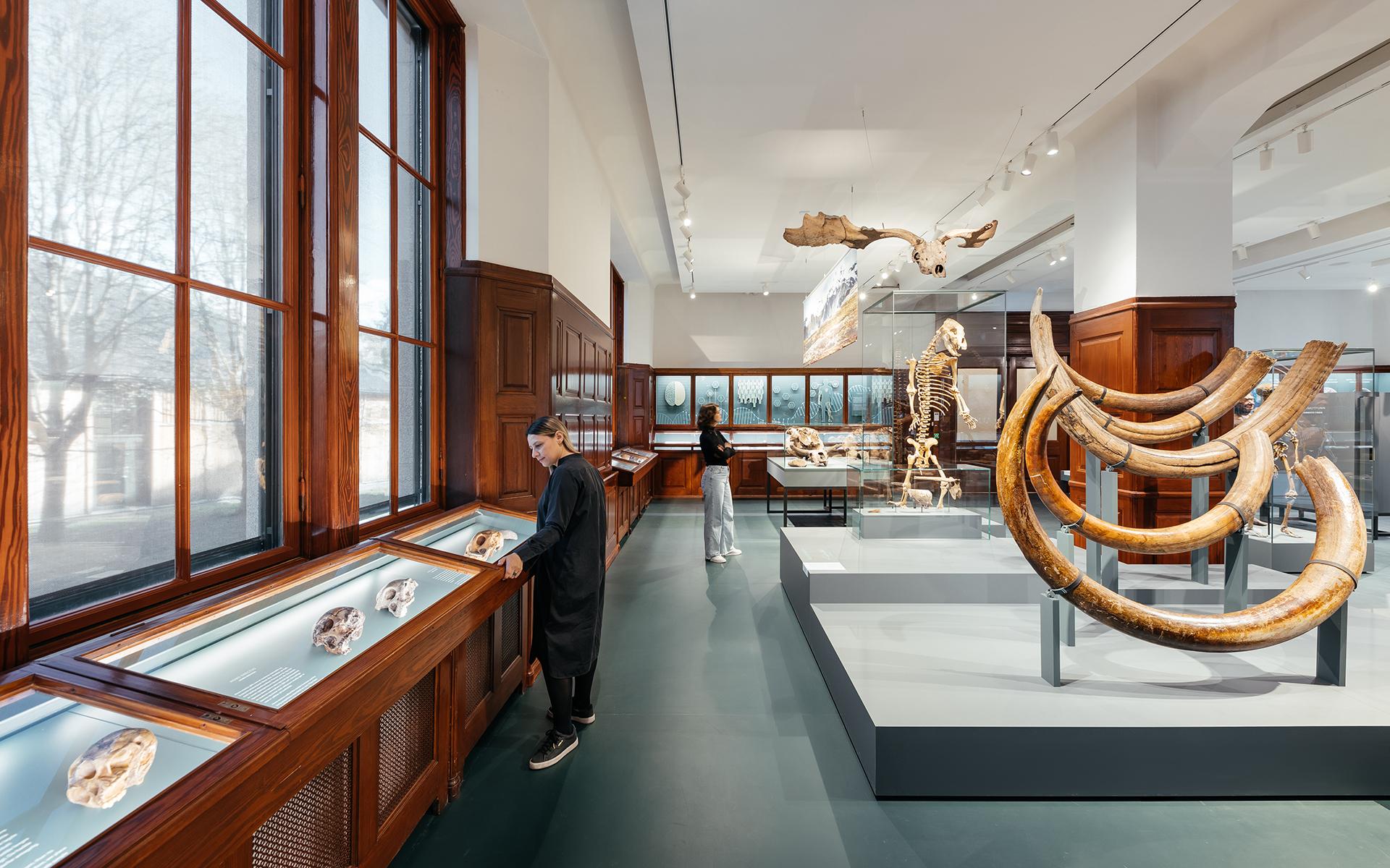 Natural HIstory Museum