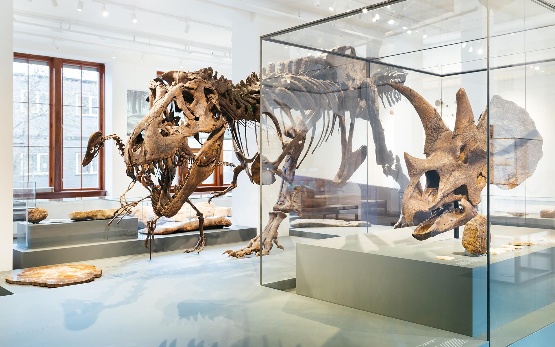 Natural HIstory Museum