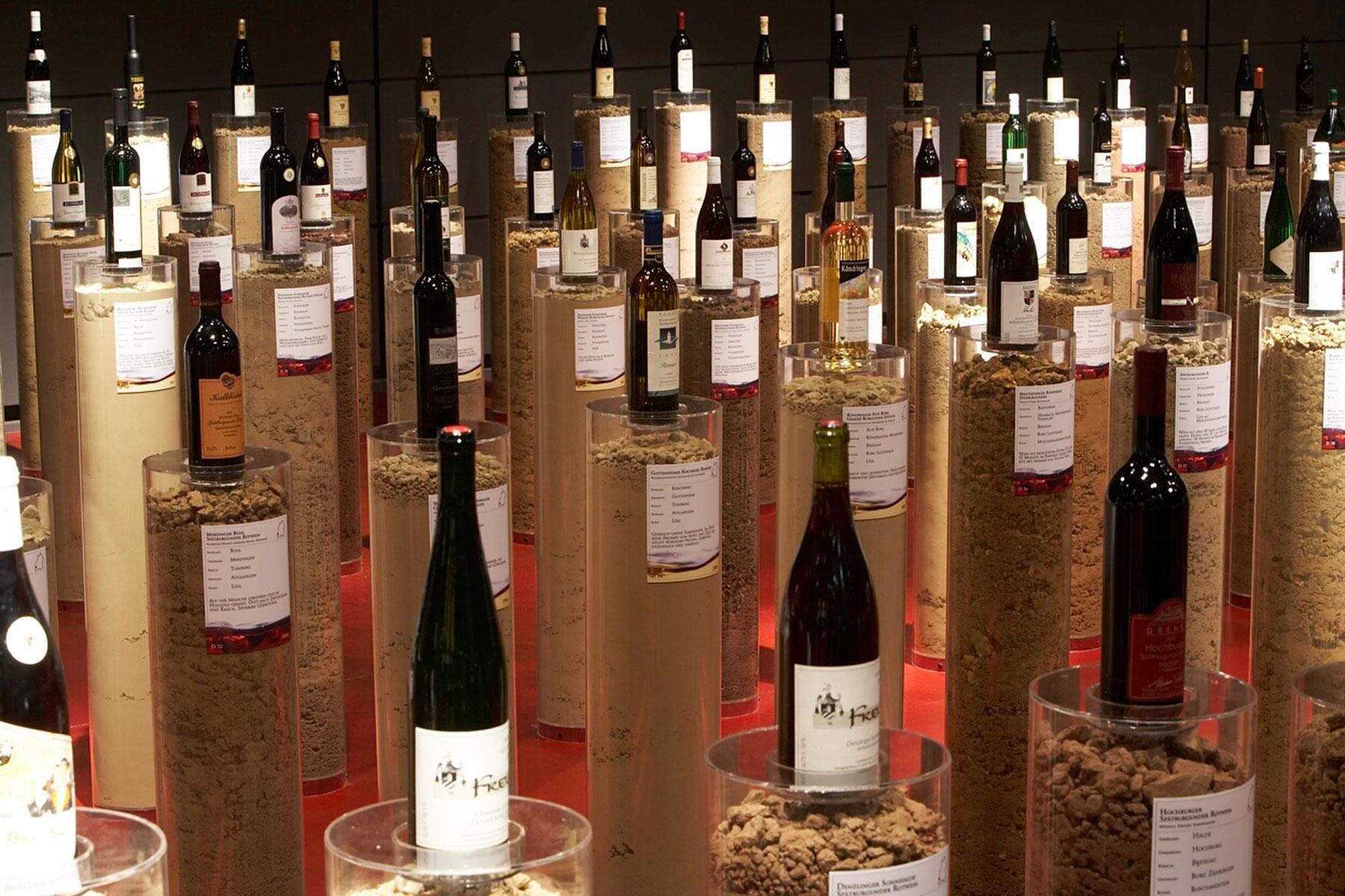 Vielfalt in Boden und Wein